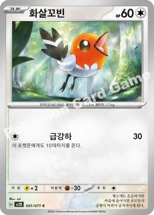 화살꼬빈