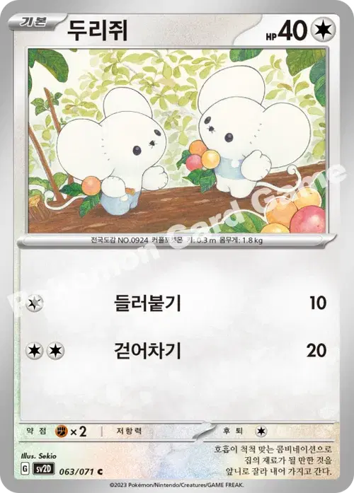 두리쥐