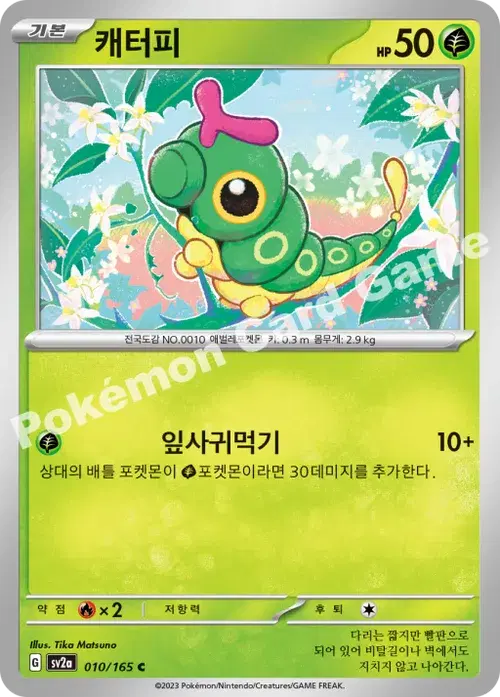 캐터피
