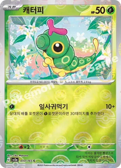 캐터피