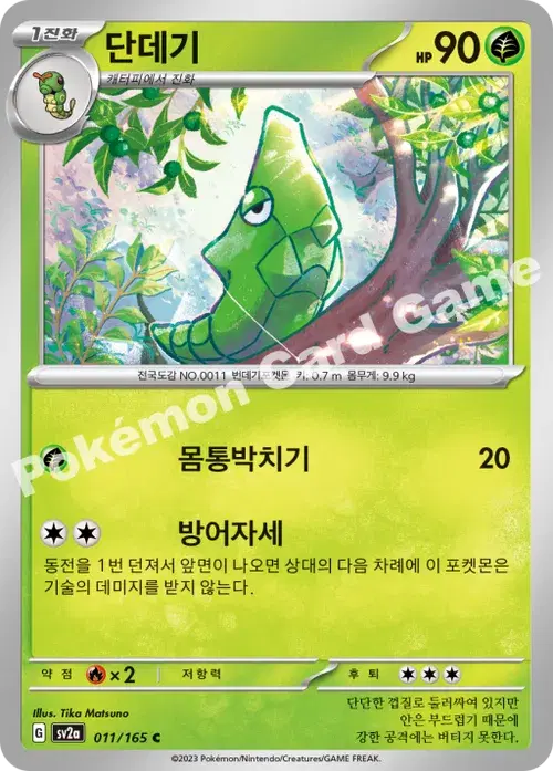 단데기