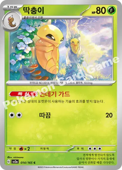 딱충이