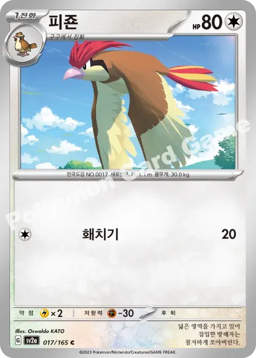 피죤