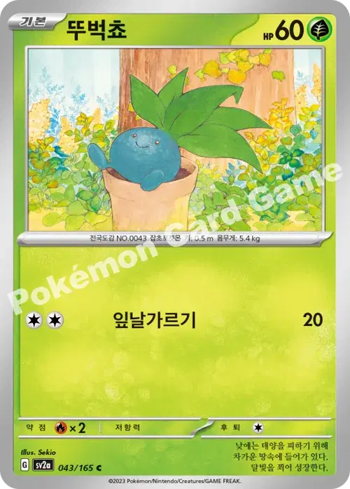 뚜벅쵸