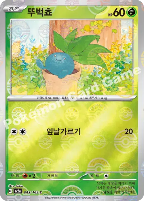 뚜벅쵸