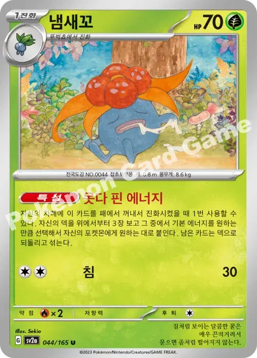 냄새꼬