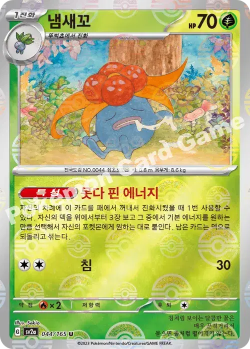 냄새꼬