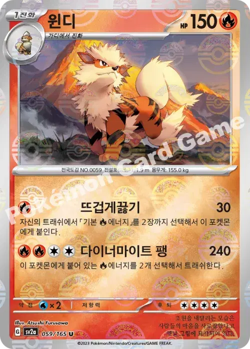 윈디