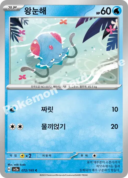 왕눈해
