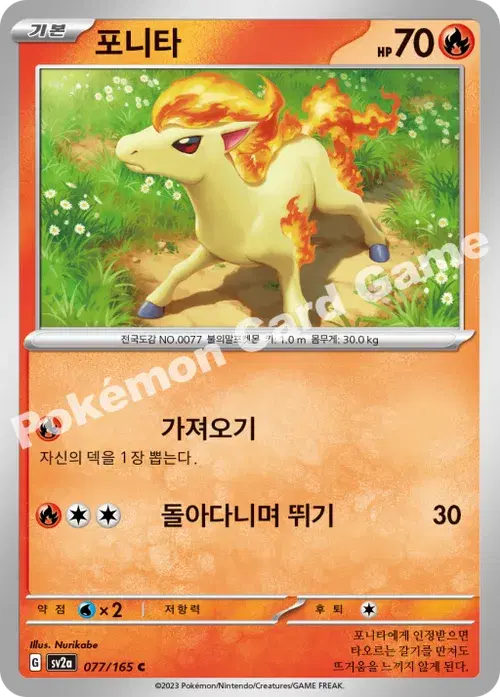 포니타