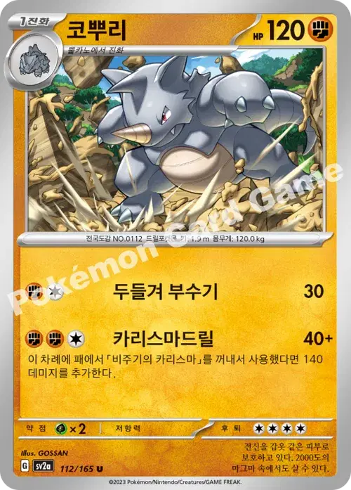 코뿌리