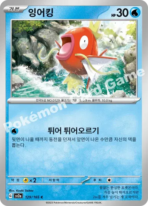 잉어킹