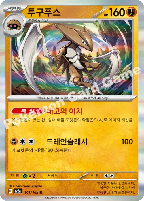 투구푸스