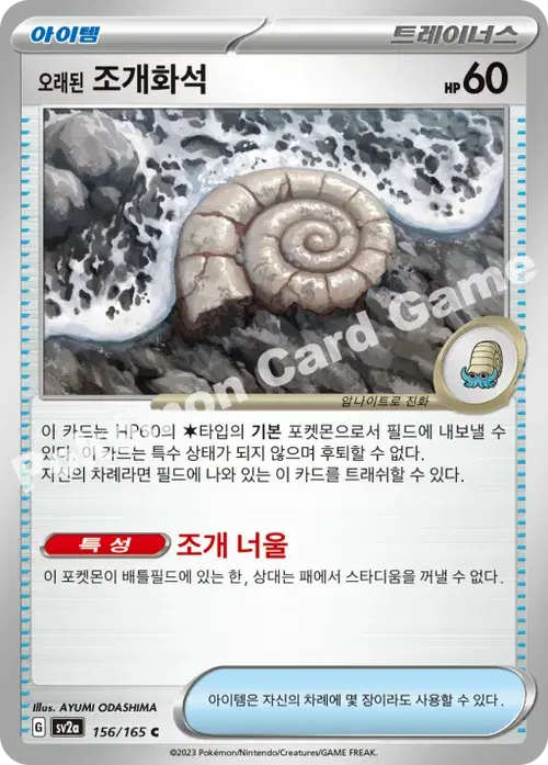오래된 조개화석