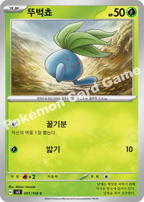 뚜벅쵸