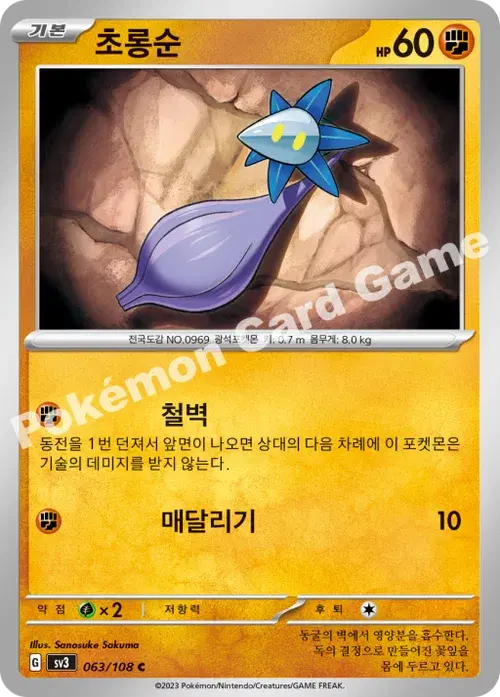 초롱순