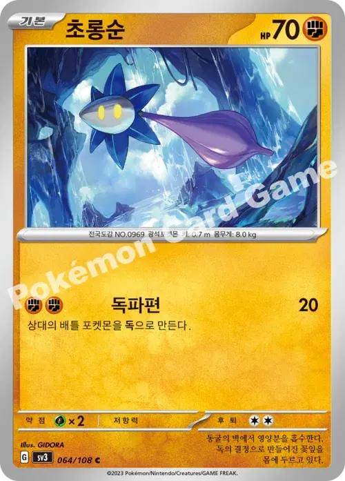 초롱순