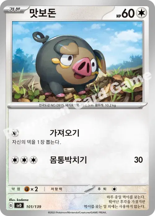 맛보돈