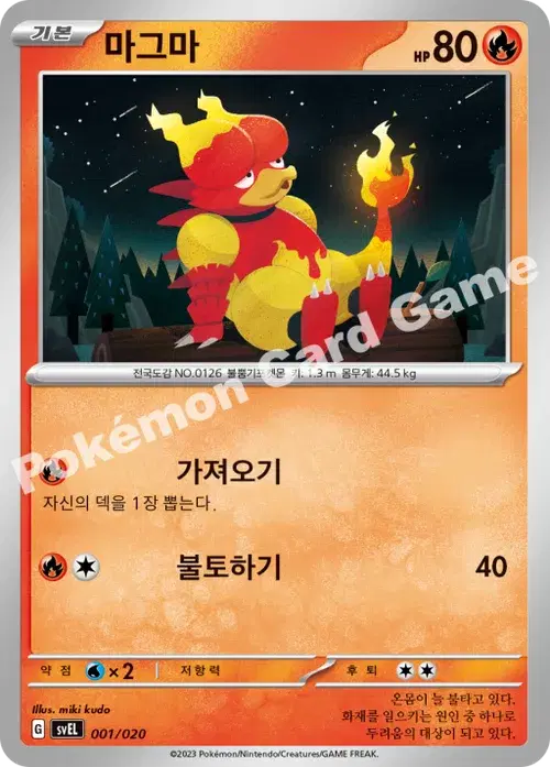 마그마