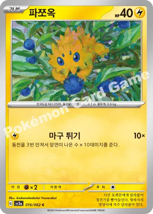 파쪼옥
