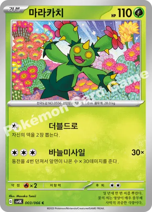 마라카치