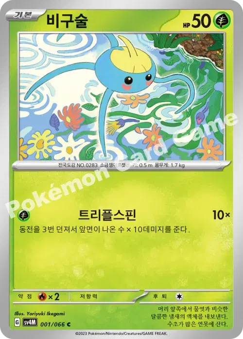 비구술