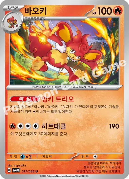 바오키