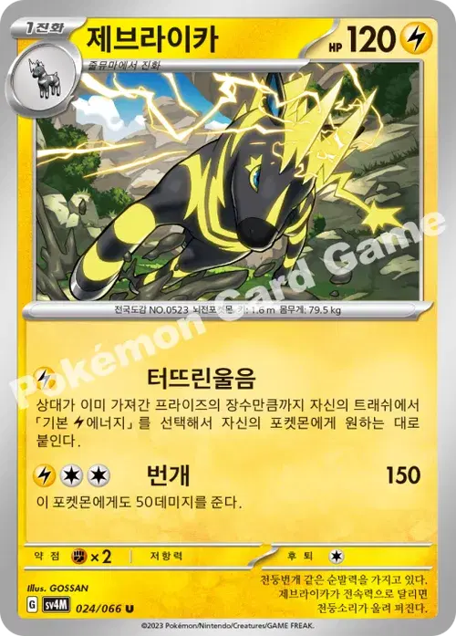 제브라이카
