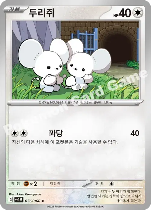 두리쥐
