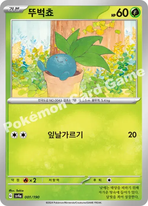 뚜벅쵸