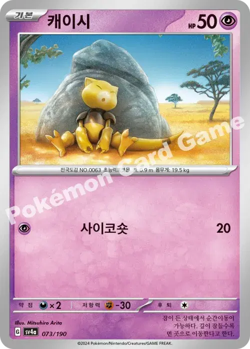 캐이시