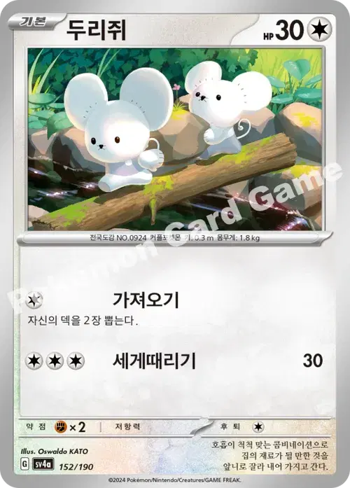 두리쥐