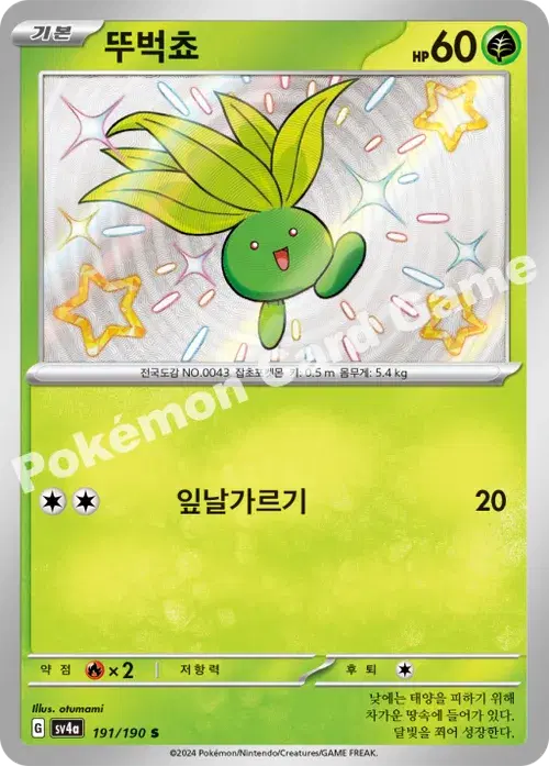 뚜벅쵸