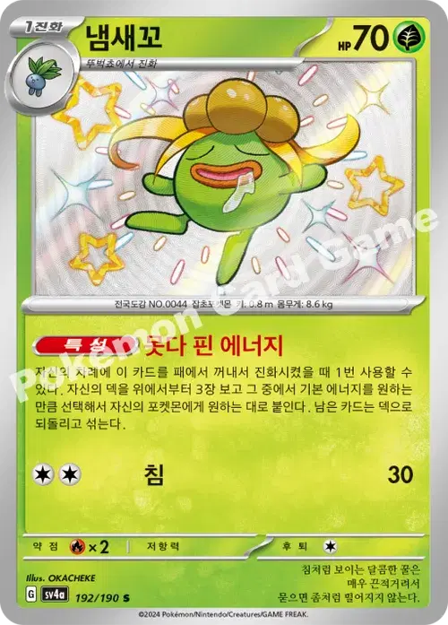 냄새꼬