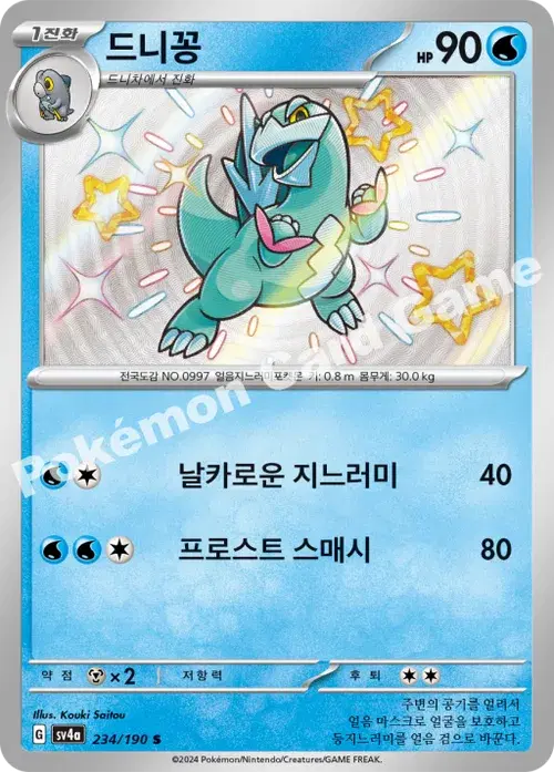 드니꽁