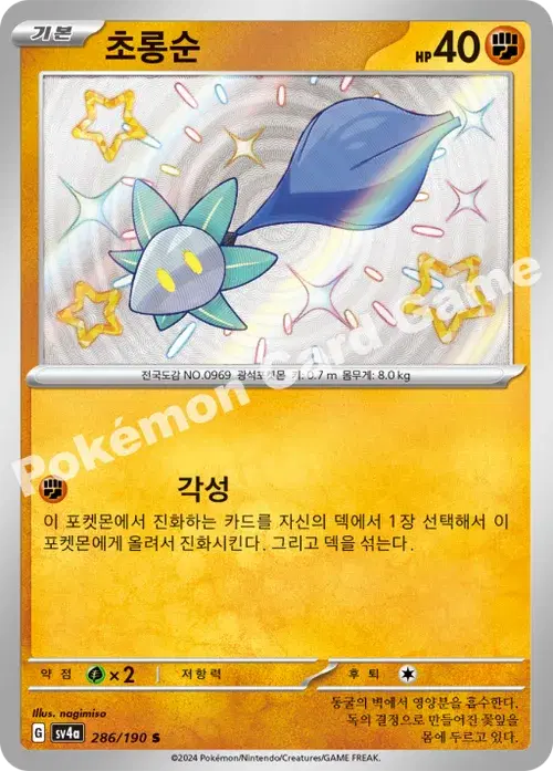 초롱순