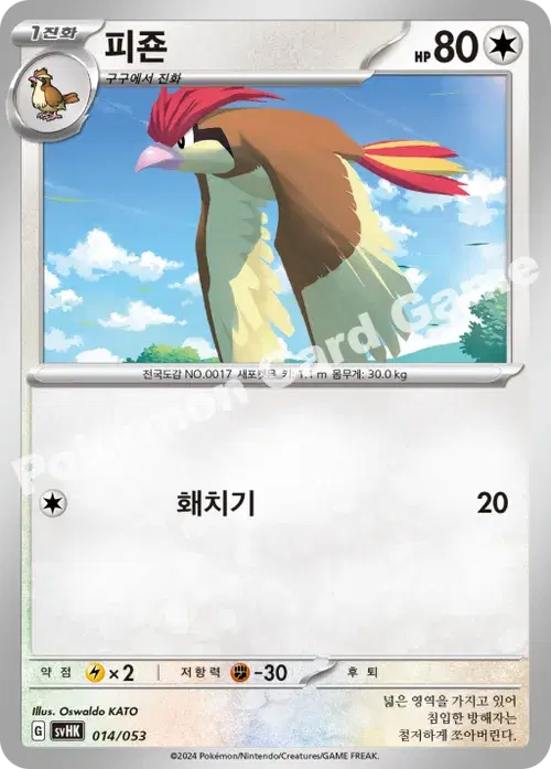 피죤