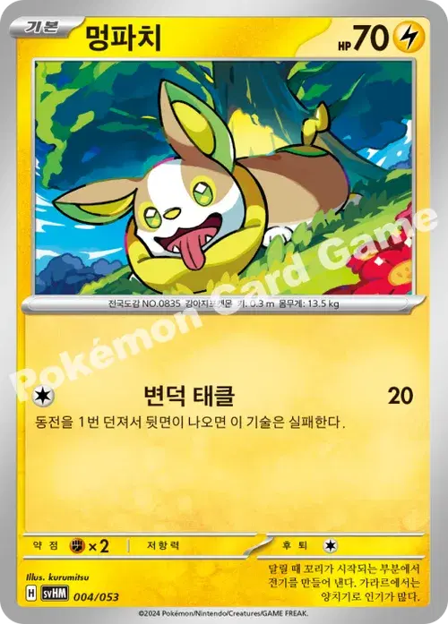 멍파치