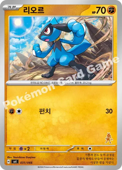 리오르