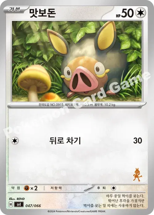 맛보돈