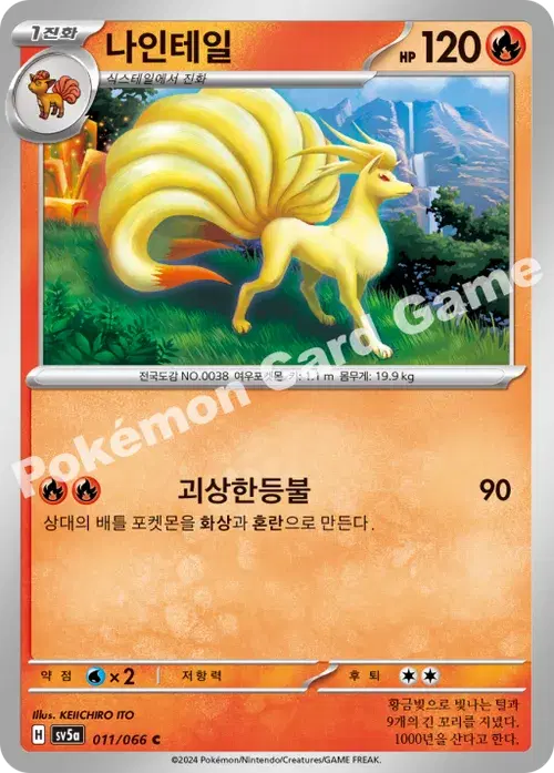 나인테일