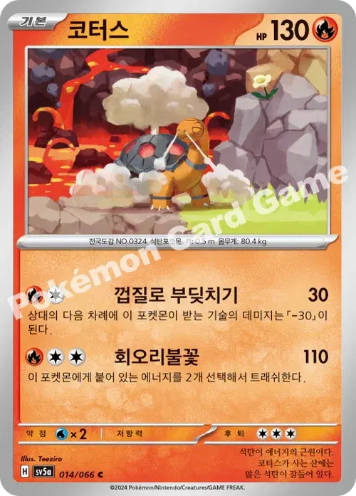 코터스