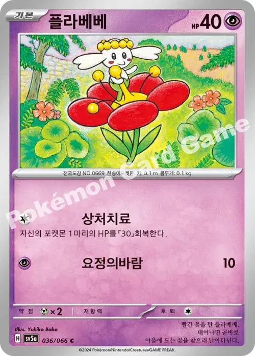 플라베베