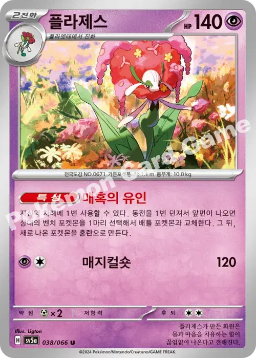 플라제스