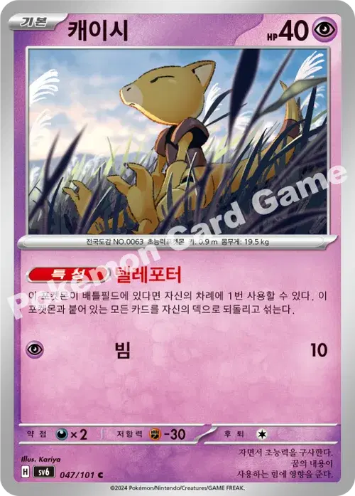 캐이시