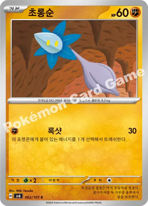 초롱순