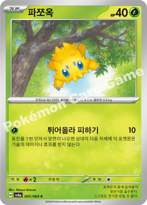파쪼옥