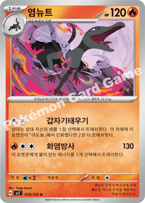 염뉴트