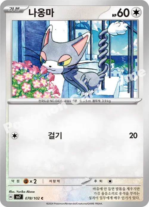 나옹마