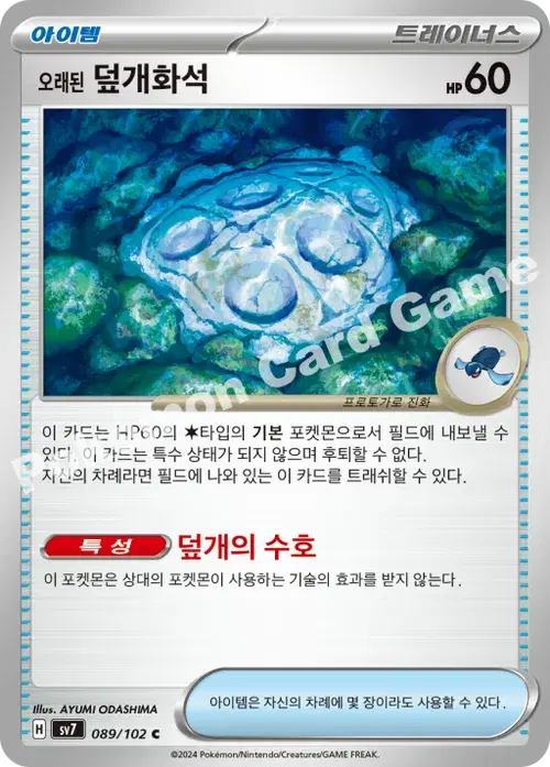 오래된 덮개화석